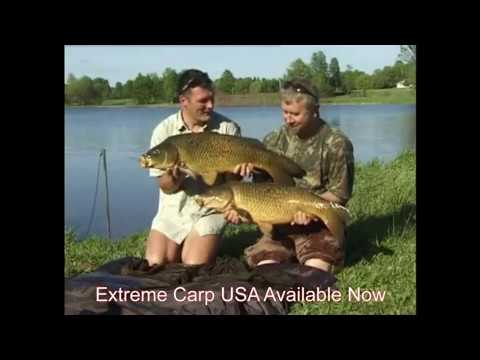 how to locate carp