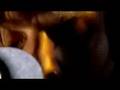 KINGS OF LEON LIVE - SEX ON FIRE & INTERVIEW