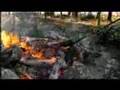 2 Hindu Cremation An Experiment with an animal first