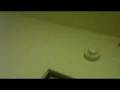videos de Comm1.m4v