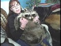 World's Fattest Pets