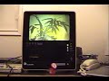 Old School Multimedia