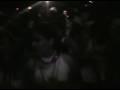 Youth X-Treme Carnaval Aruba 2008 FAKKEL