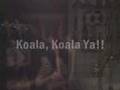 El Baile Del Koala