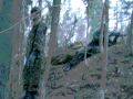 Airsoft in Iisalmi