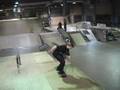 50 50 dolphin flip