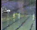 Natacion Sincronizada.Maristas.