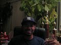 Streetztalk.net iBlog 001