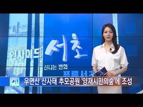 인사이드서초 355회