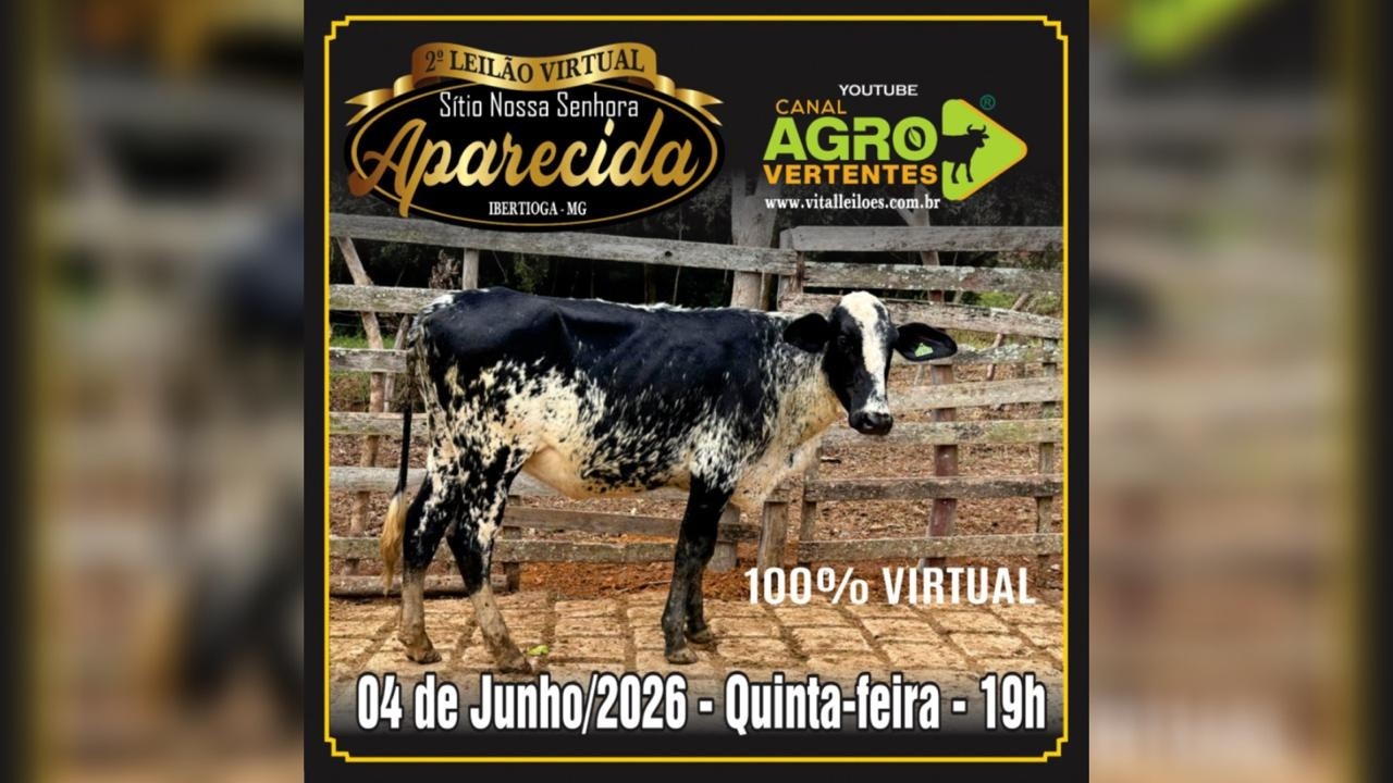 2º LEILÃO VIRTUAL SÍTIO NOSSA SENHORA APARECIDA - JEZINHO & FAMÍLIA - IBERTIOGA/MG - 04/06/2026