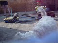 Nuggy noo - dog agility