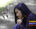 LEUPIEMEUSHAP-SHAP-EVI MEUTIA LEUPIEMEUSHAP-SHAP-EVI MEUTIA