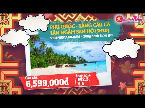 Tour Du lịch Tết Âm Lịch 2019 - Tour du lịch trong nước