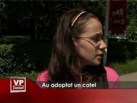 Au adoptat un căţel