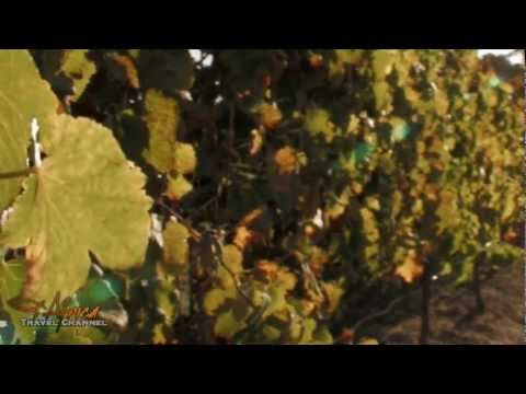 Africa Travel Channel visits Rietvallei photo