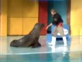 Aquarium_1_ Aquarium_1_