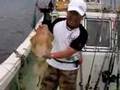 久米島スーパーディープアオリ