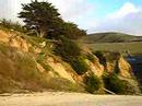 Pacific Oceanside