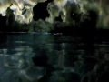 Cozumel Paradise reef