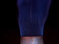 blu flame gasifier