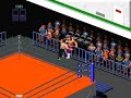 Super Fire Pro Legends - [sic] part