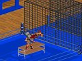 Super Fire Pro Legends - [sic] part
