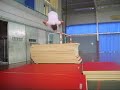 Moi : roue chinoise,vrille,salto avan,salto arrière, hauteur