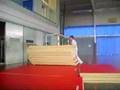 Moi : roue chinoise,vrille,salto avan,salto arrière, hauteur