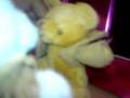 Horny-Bears-getting-