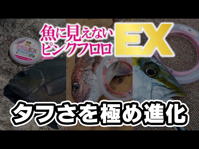 魚に見えないピンクフロロ™ EX ショックリーダー - 釣具の総合メーカー