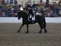 Goffert 369 Peforming at Breyerfest 2006 Live