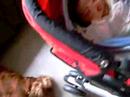 Dharma e Rocco (stanno dormendo) Dharma e Rocco (stanno dormendo)
