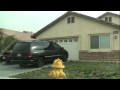 Real Stories of the Housing Collapse - Economic Collapse in America - Victorville Ca Part 3