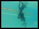 Gimansub - Arbalete Dentex 110 - Prove di tiro
