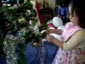 videos de stacey and xmass tress.wmv