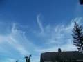 Chemtrails on July 14, 2008 over Tacoma, WA.