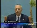 Colin Powell and the Palm Tree on MTP Colin Powell and the Palm Tree on MTP