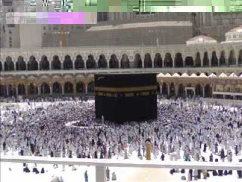 Minshawi -