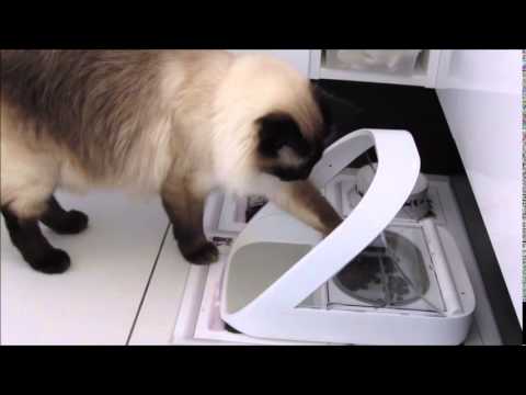 Surefeed der Futternapf