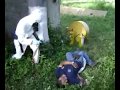 Curso Preparación del Sector salud en Incidentes con Matpel
