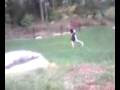 videos de Animal Profiles: The Leprechaun