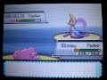 Pokemon Soul Silver - Battling Tower Tycoon Palmer (Gold)