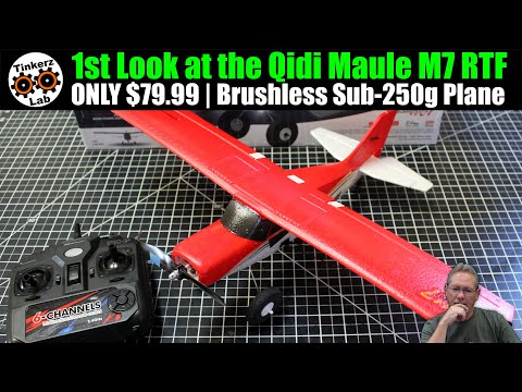 1st Look at this Brushless Sub-250g Bush Plane