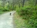 snak in t bos