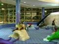 videos de Babu&Abby at Lynheaven Mall