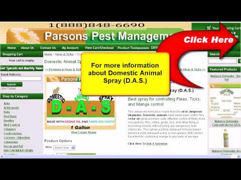 Domestic Animal Spray (DAS) - Natural Insecticide For Pets, Cattle, & Other Animals