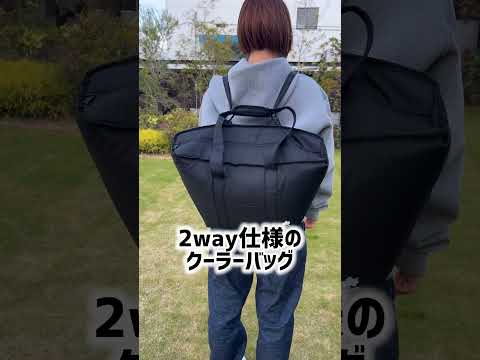 LOGOS スタンダード トートリュック クーラー L