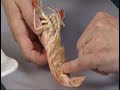 Langoustines \"A How-To Guide\" Langoustines \"A How-To Guide\"