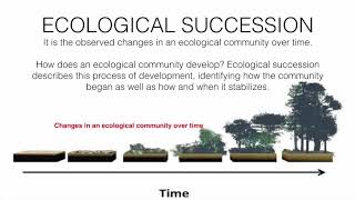 Ecological Succession