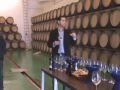 Rueda de Vinos: visita a Bodegas De Alberto. Las fases de la cata